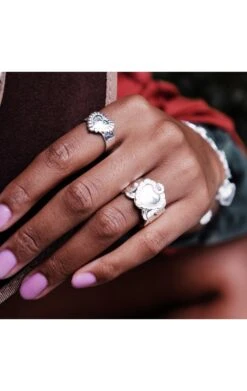 Hipanema -Hipanema chavez 1